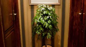 Hotel MCM Plus - Image 5