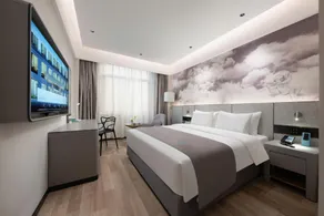 Lanou Shangpin Hotel (Handan Weixian Weidu South Street Branch) - Image 2
