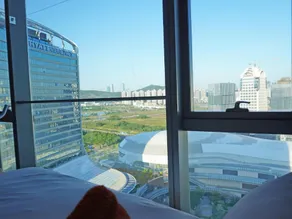 Interact China Fine Condo - Novotown - Image 4