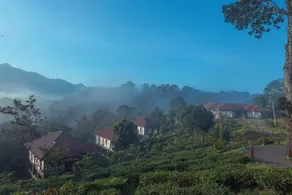 Jeevess Retreat Wayanad - Image 5