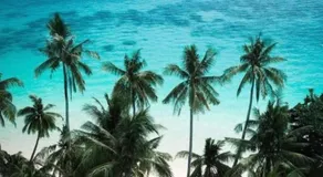 A Caribbean-style rebirth, 2 minutes from the beach - Image 2