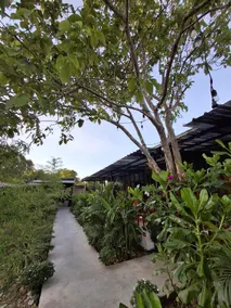 Casa Nacpan - Image 5