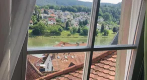 Natur und Neckarblick bei Heidelberg - Image 4
