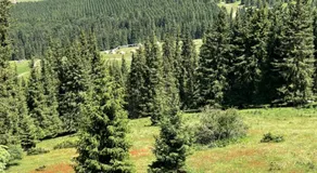 Adventure Guest House - Image 4
