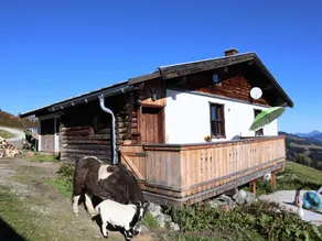 Cabin in Brixental by Ski Lift Access - Image 4