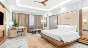 Hotel Silver Leaf inn Near Igi Airport Delhi - Image 4