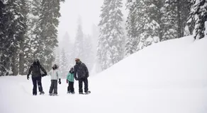 Modern Hotel-Style Studio - Timber Creek Lodge #210 - Image 5