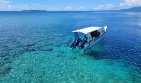 4 Sisters Divers - Image 5