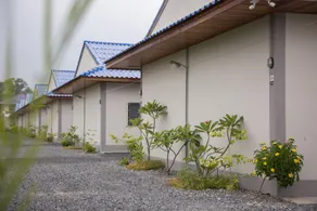 The Triple Tree Resort - Image 2