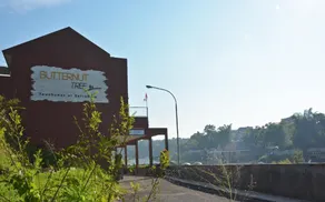 Butternut Tree Townhomes - Image 3