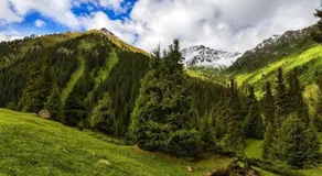 Алтын-Арашан, путь на оз,Ала-куль - Image 5