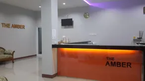 The Amber Mansion - Image 2