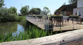Idylle auf dem Reiterhof bei Husum - Image 3
