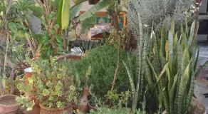 Diabat hostel - Image 4