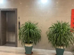 Pai Hotel Pingdingshan Lushan Railway Station - Image 4