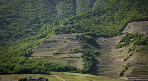 Le Petit Beurre de cacahuète et Le Poivre et Sel - Image 5