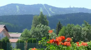 Ferienhotel Münch - Image 5