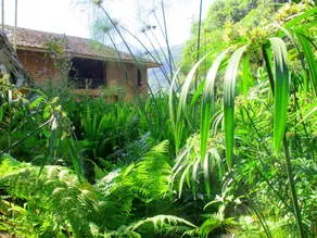 Baan Kaew Mongkorn - Image 3
