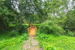 Dubare Elephant Camp-Jungle Lodges - Image 5