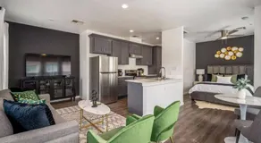 Serenity Studios - Near Med Center & Museum District - Image 2