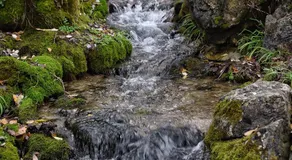 NAPAIMBE Sierra - Image 3