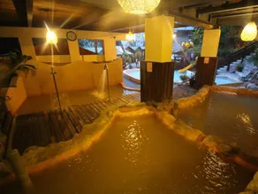 Cocos Hot Spring Hotel - Image 4