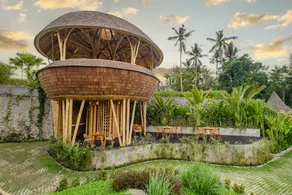 Jungleight Bali - Image 3
