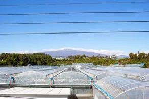 Jeju Sangchune Pension and Guest House - Image 2