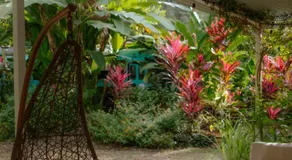 Tribe Boutique Hotel - Adults Only - Image 5