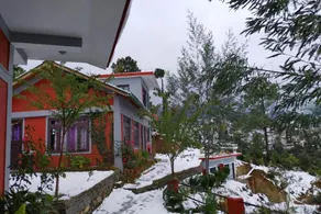 Mukteshwar Oak Essence - Image 2