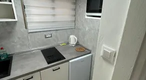 Oliva 2 - Image 4