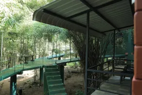 Riverwood resort vythiri - Image 3