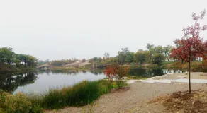 Huge Yard Family friendly Smart home Walk To Beach Dunes Hiking Trails - Image 5