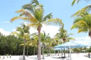 Studio Apartment with backyard - All Private! - Image 5