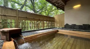 丸山鉱泉旅館 - Image 3