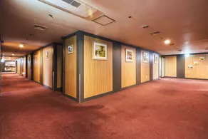 Bundang Migeum JS King - Image 4