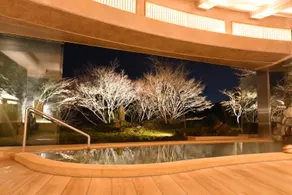 Hakone Gora Byakudan - Image 4