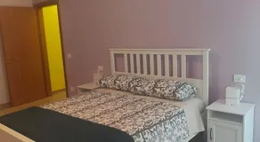 B&B Canossalpaca - Image 3