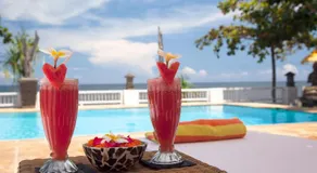 Villa Paradise Lovina - Image 4