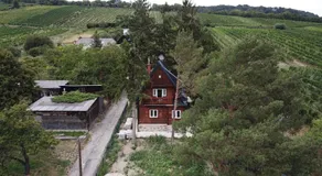 Vacationhome in the vineyards - Image 5