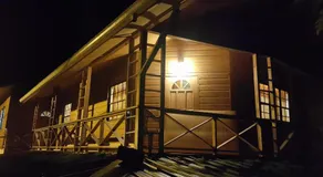 Cottage Mango - Image 5