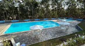 Casa Flor de Gravatá - Image 3