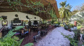 spirit of jungle lodge - Image 3