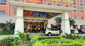 Golden Peacock Hotel Blantyre - Image 3