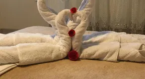 DyHouse - Image 4