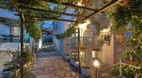 Pansion Prodromina - Image 3