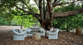 Wellington Forest Cottages & Bar - Image 4