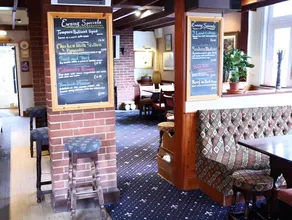 Lion and Fiddle - Image 5