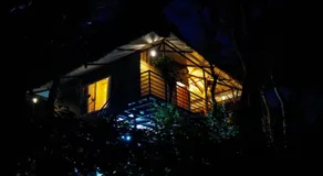 Coffee Cradle Wayanad Luxuorios Private Tree House - Inside 2 Acre Coffee Plantation - Image 4