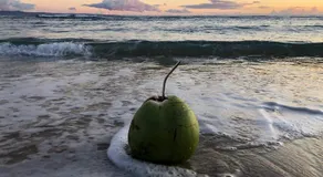 Epic Maui Car Camping - Image 3